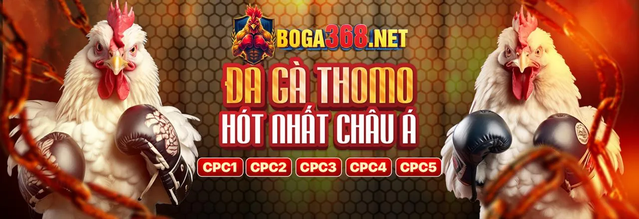 Các tính năng bảo mật tiên tiến của dt68